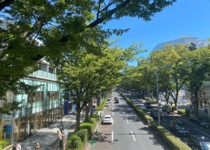 tokyo omotesando