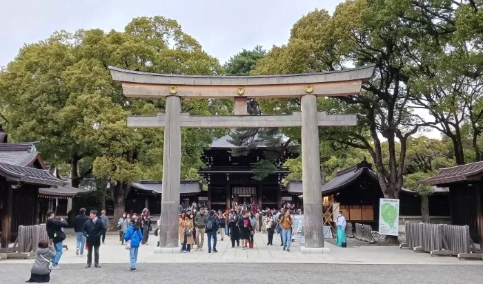 Meiji Jingu Tokyo Shrine and Shinto Culture Walking Tour