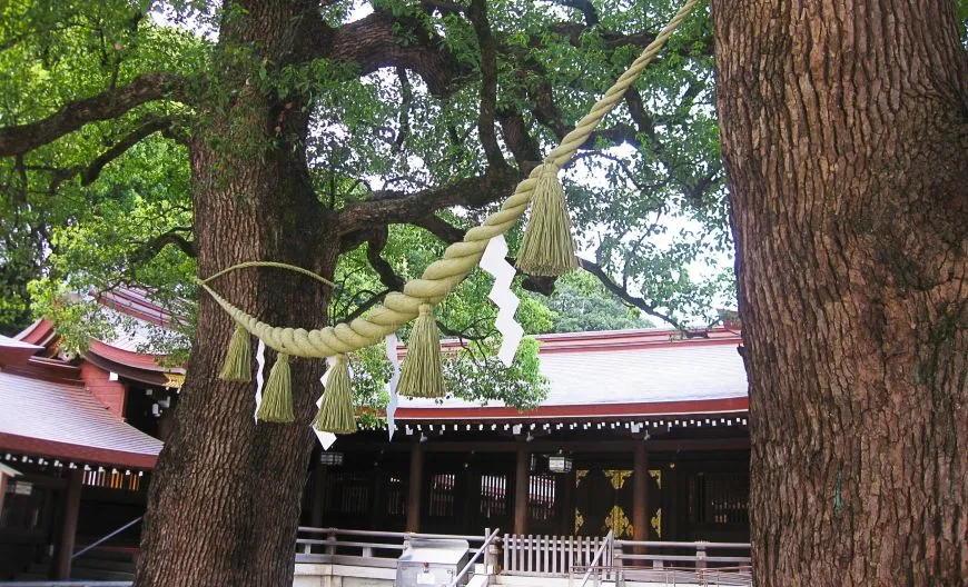 meiji-shrine Central Tokyo Full Day part-1