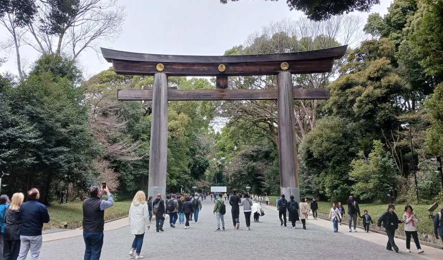 Meiji Jingu Shrine Torii Gate